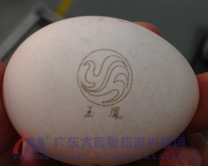 雞蛋打日期，雞蛋標記，雞蛋標圖案