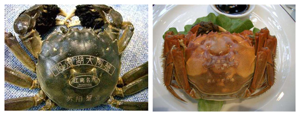 螃蟹打標(biāo)二氧化碳激光機(jī)工藝