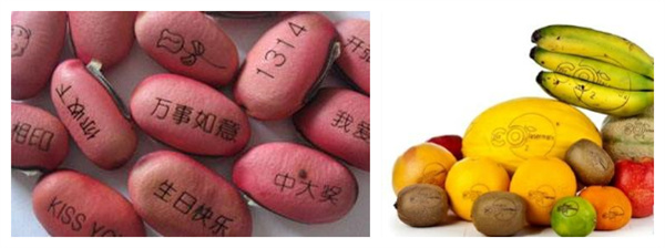 水果雕花二氧化碳激光機(jī)工藝